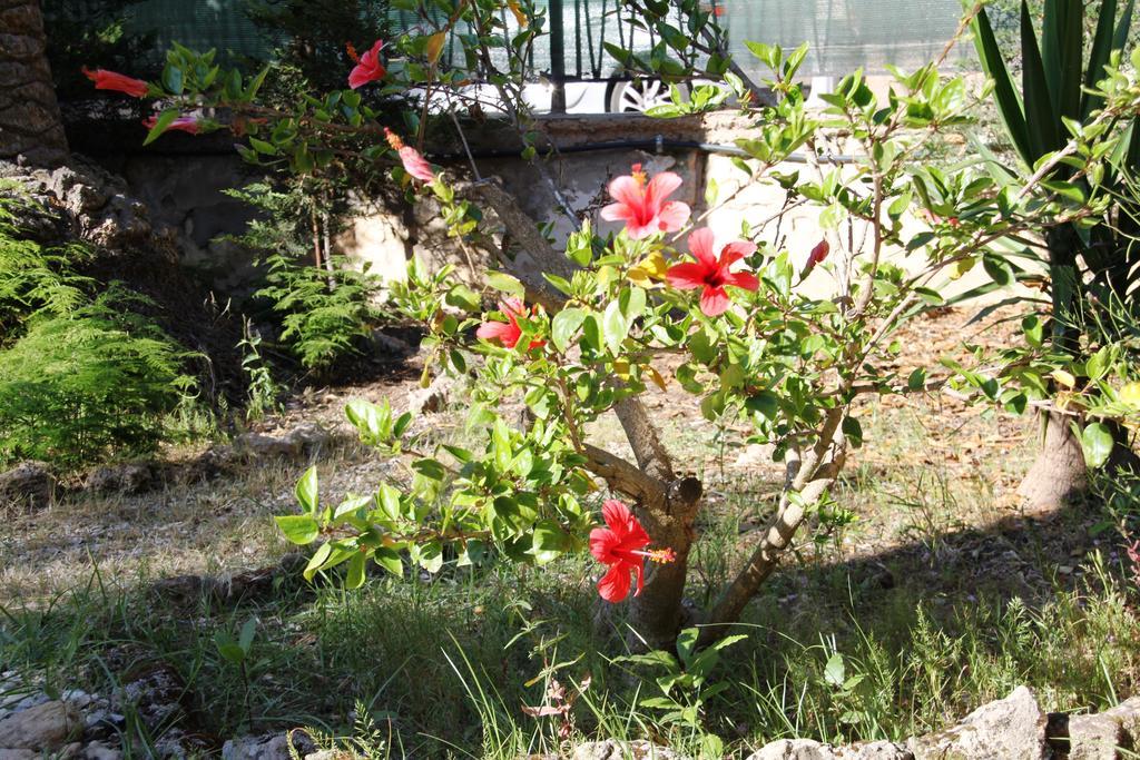 Casa Vacanze Cau - Viale Europa Αλγκέρο Εξωτερικό φωτογραφία